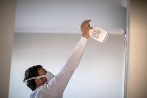 Best Post-Flood Mold Remediation in Sandy Springs, SC