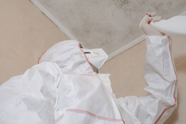 Best Industrial Mold Remediation in Sandy Springs, SC